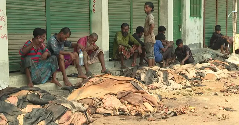 ট্যানারি মালিকদের ওপর নির্ভর করছে মৌসুমি চামড়া ব্যবসায়ীদের ভাগ্য